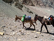 2002.11.15 Aconcagua